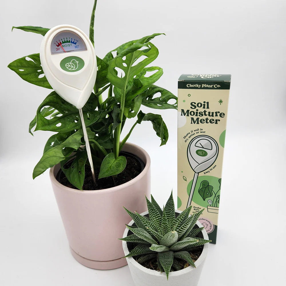Moisture meter