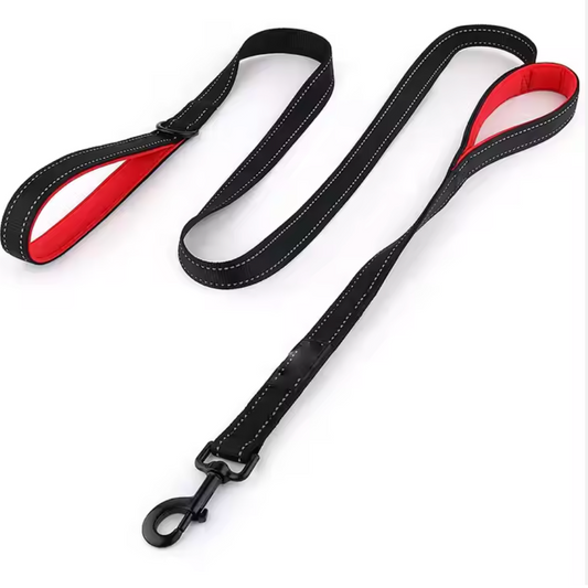 Reflex leash with double handles