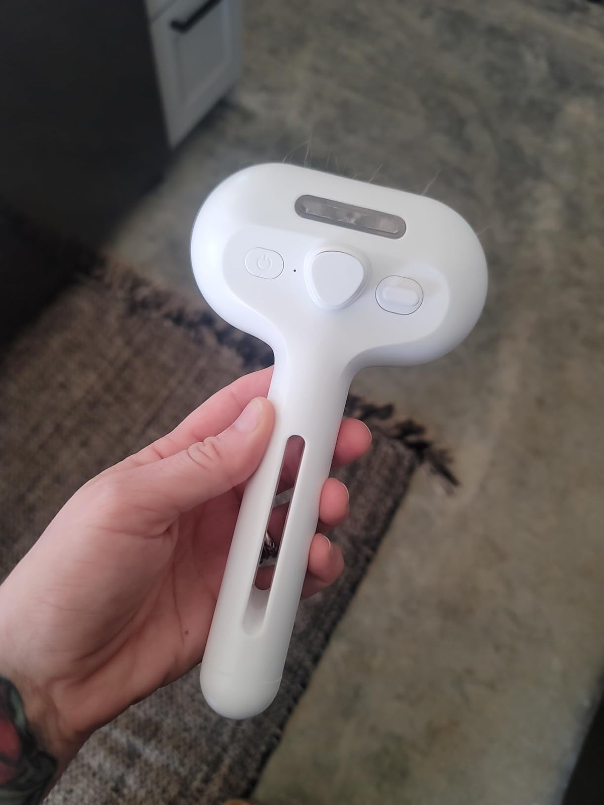 Multifunctional steam brush - for cats and dogs