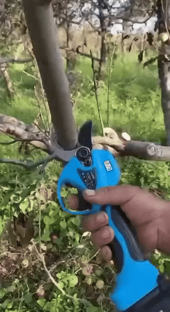 Electric secateurs with lithium battery 20v