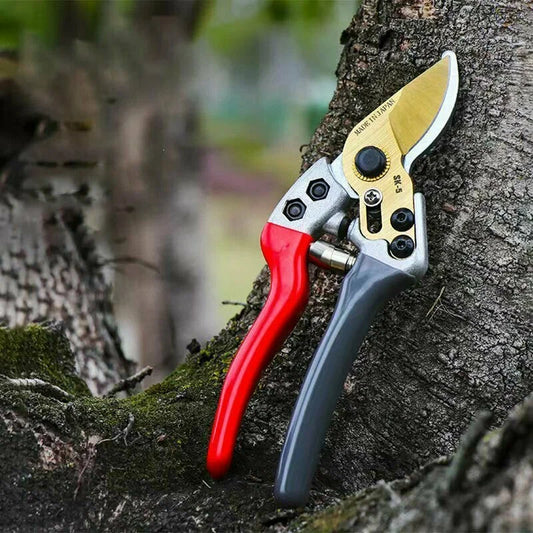 Secateurs - garden shears
