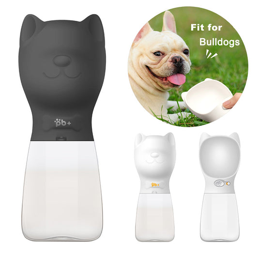 Water Bottle Frenchie