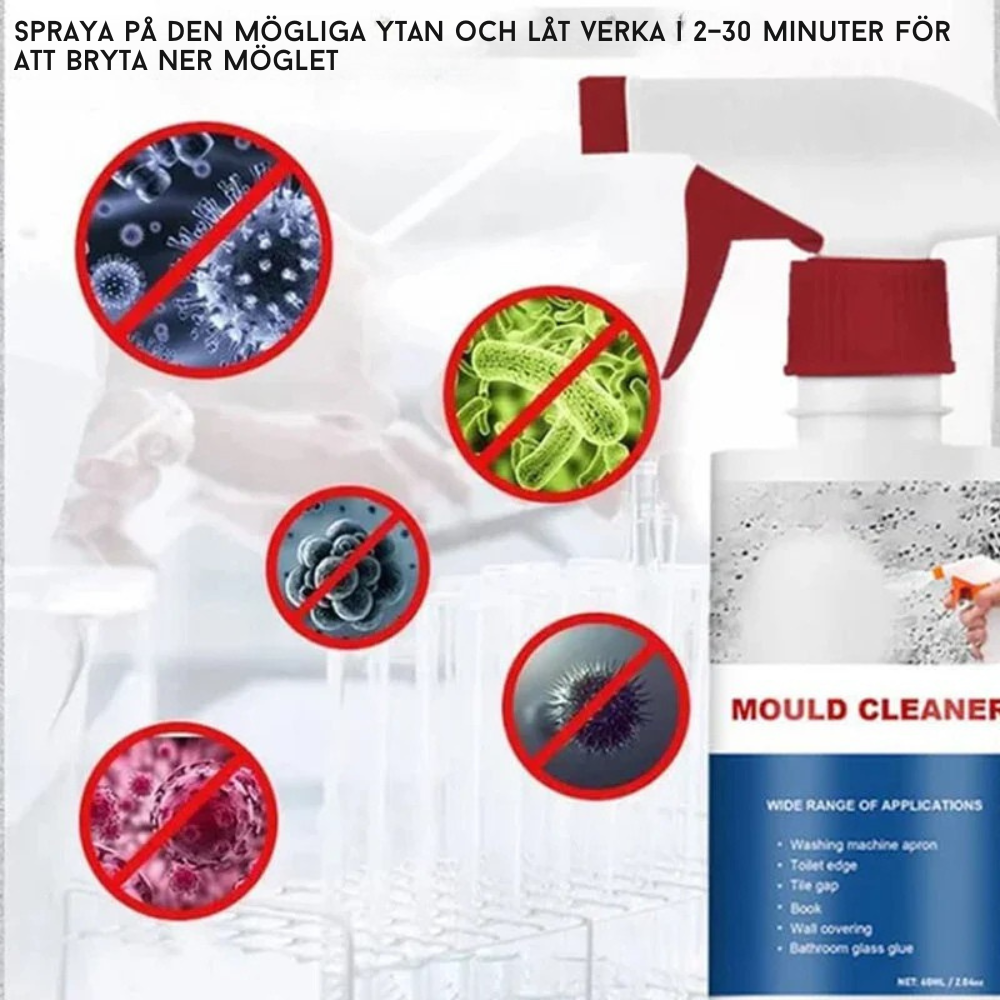 MögelXpert – Effective removal of mold and moisture stains