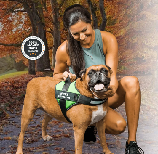 Adjustable dog harness - SafeWalk™