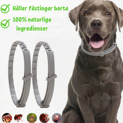TickFree – dog &kthat necklace