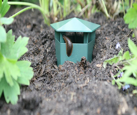 Snail trap