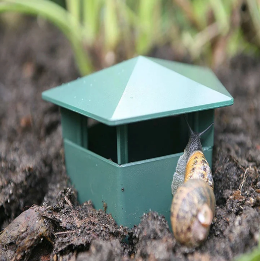 Snail trap