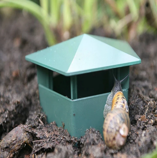 Snail trap