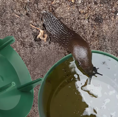 Snail trap