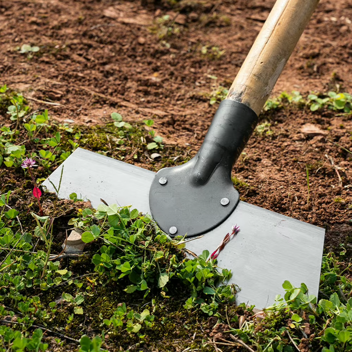 Skrapa Pro – multifunctional steel weeding and cleaning scraper