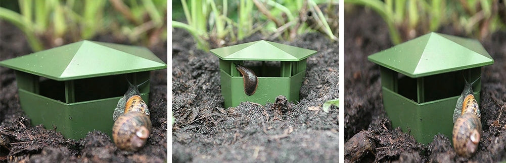 Snail trap