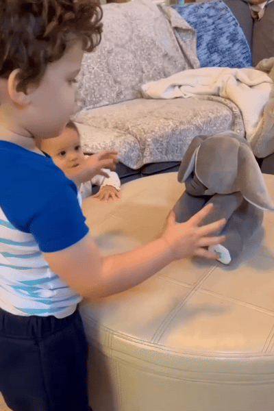 Interactive Singing Elephant with Peek-a-Boo and Music