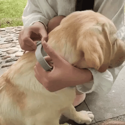 TickFree – dog &kthat necklace