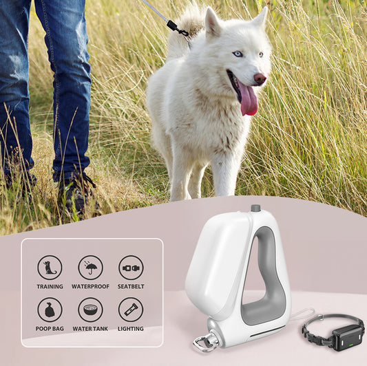 Smart dog leash + training collar 5-in-1