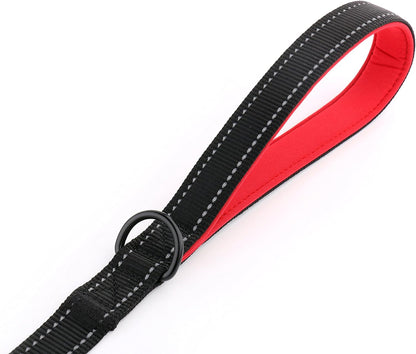 Reflex leash with double handles