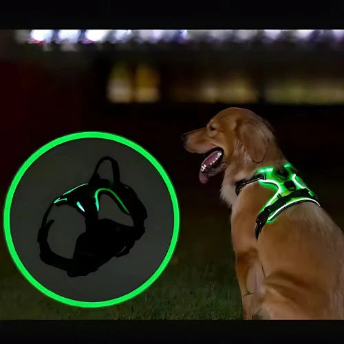 Luminous Dog Harness - for maximum safety