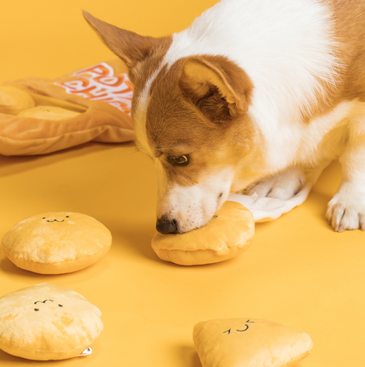 Interactive Dog Toy for Dental Care-Chip bag