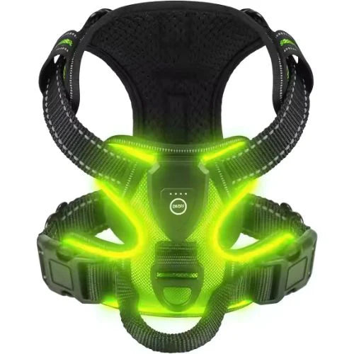 Luminous Dog Harness - for maximum safety