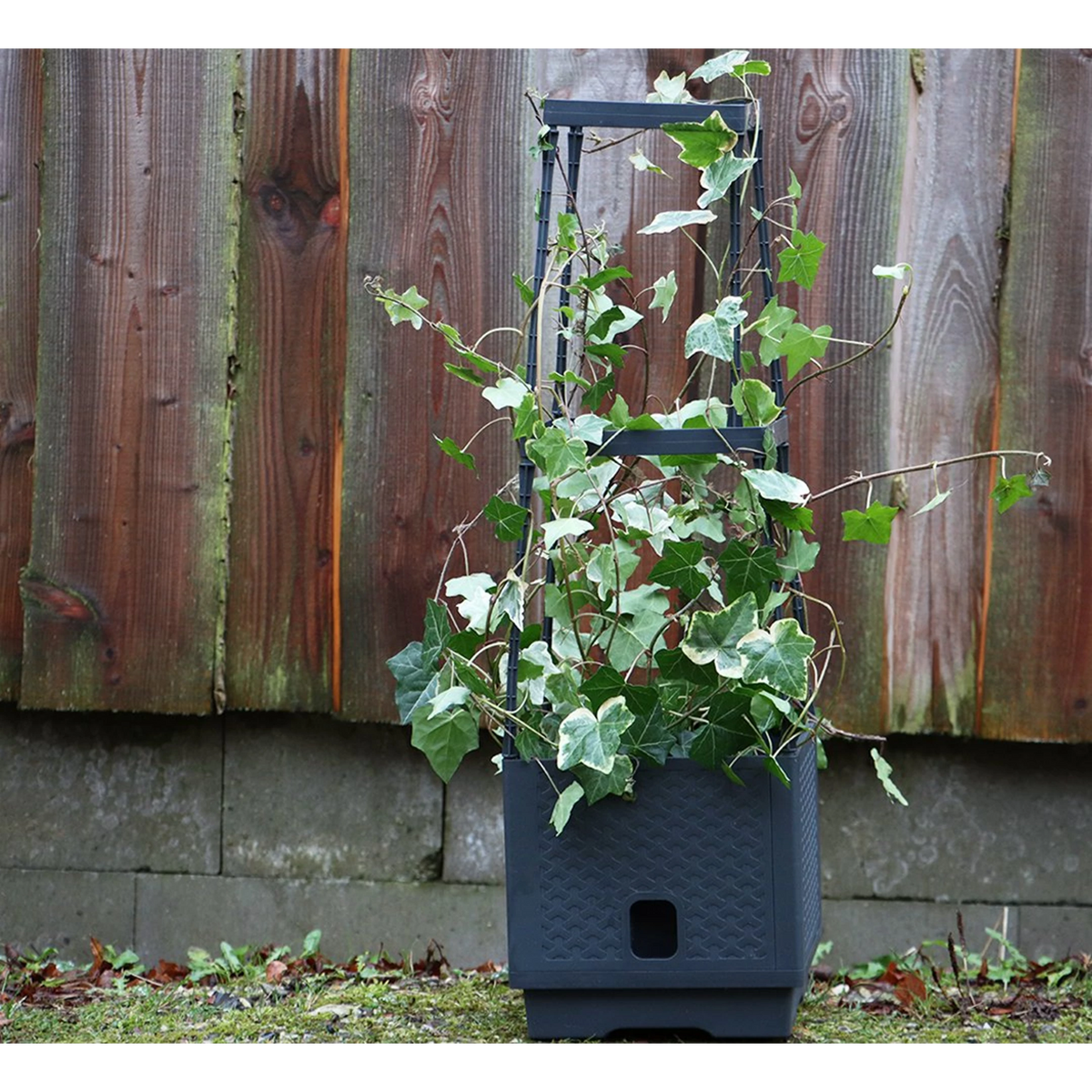 Self-watering planter tower with trellis - for flowers and climbing plants