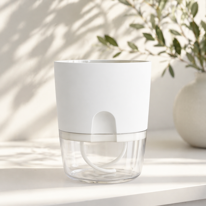 Self-watering Pot