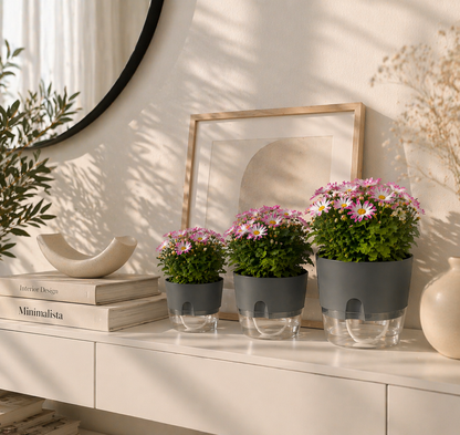 Self-watering Pot