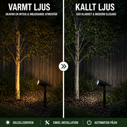 Solar lighting for garden