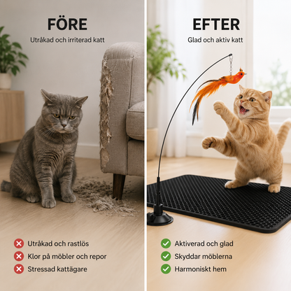 Feather hunting – For the cat, play is not just play