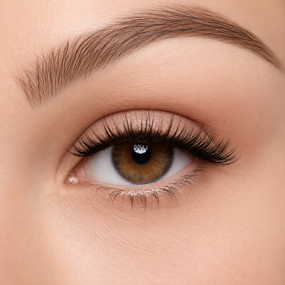 Magnetic False Eyelashes — easy to use every day