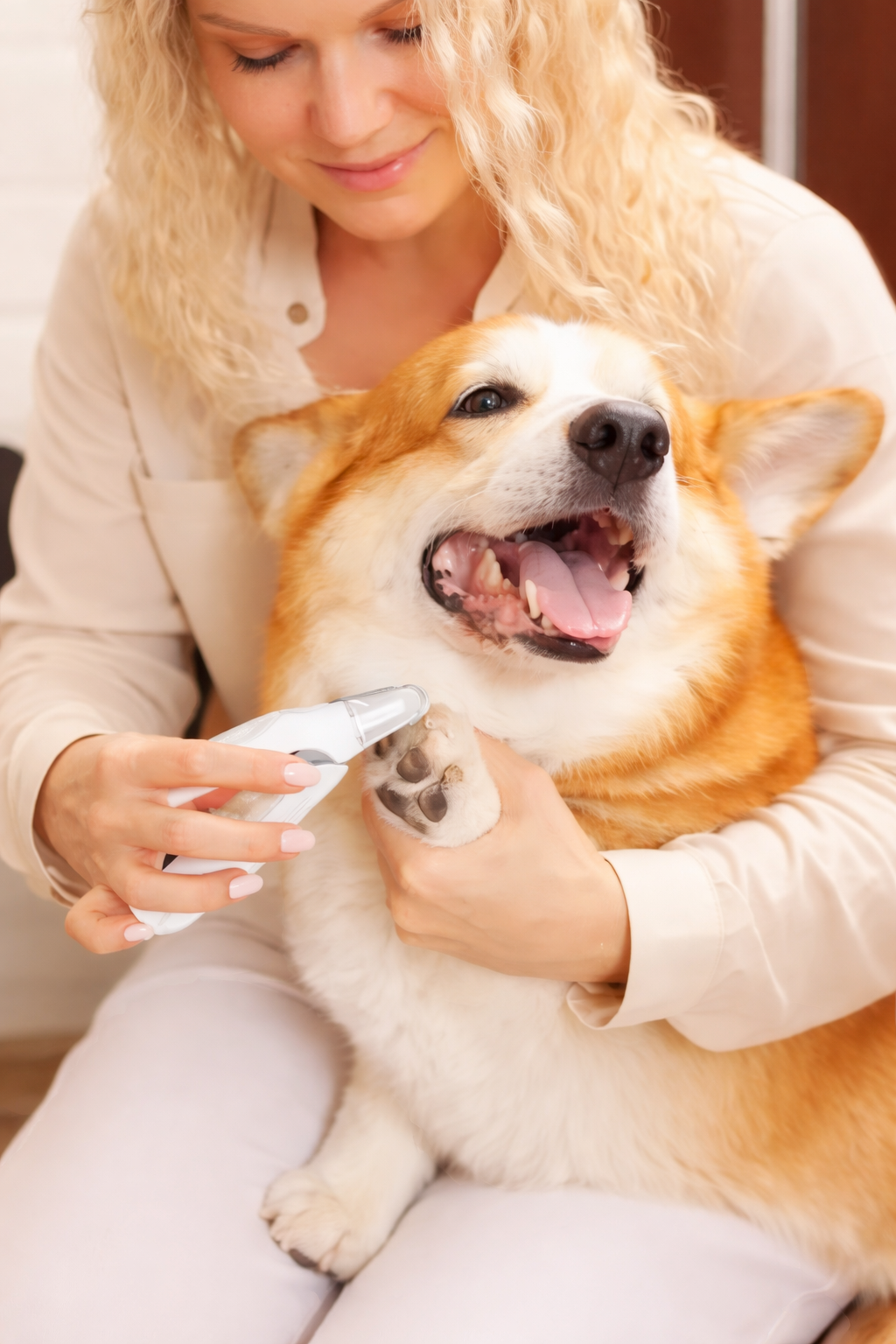 Electric Paw Trimmer 2-in-1