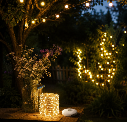 Solar-powered lamp & light loop 2-in-1