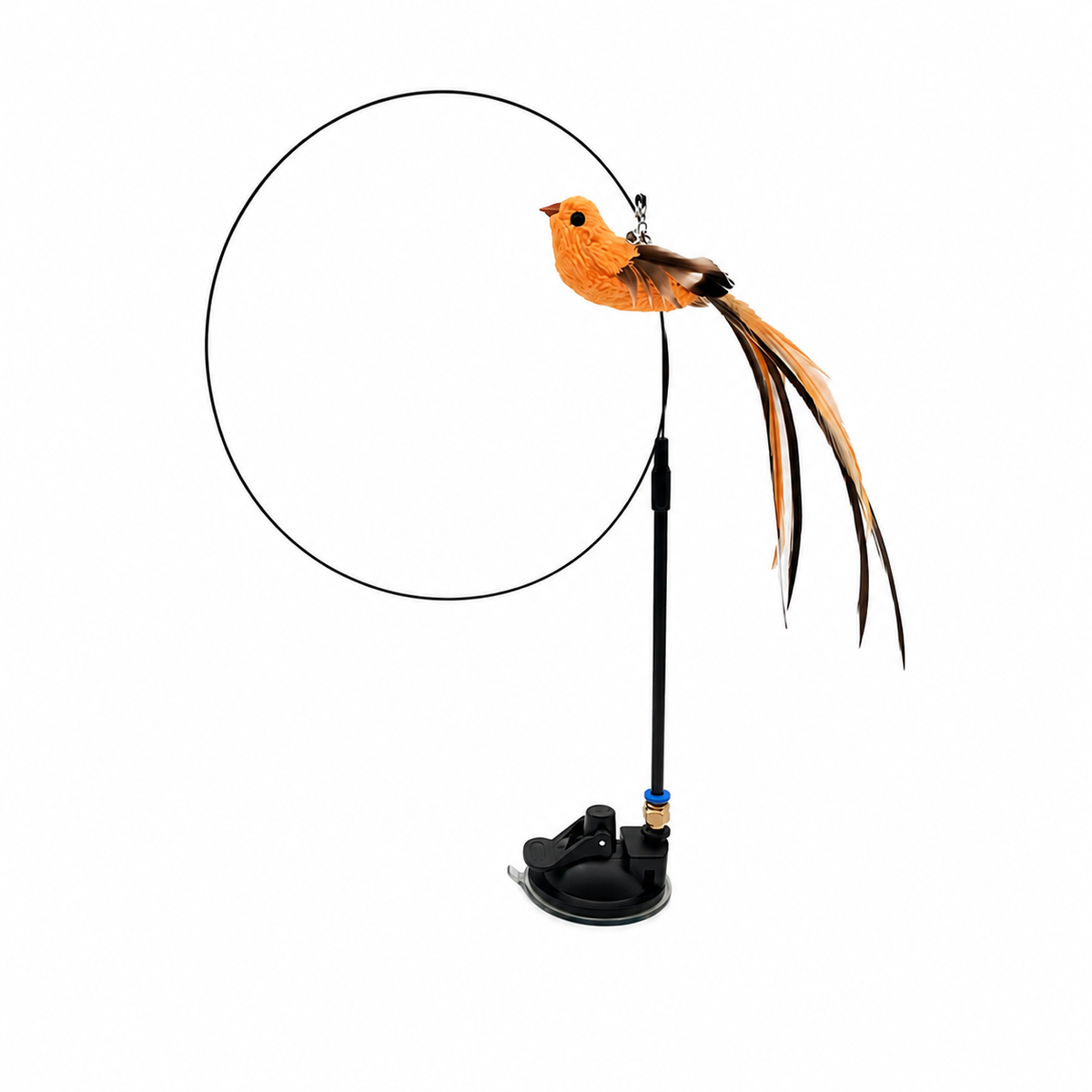 Feather hunting – For the cat, play is not just play