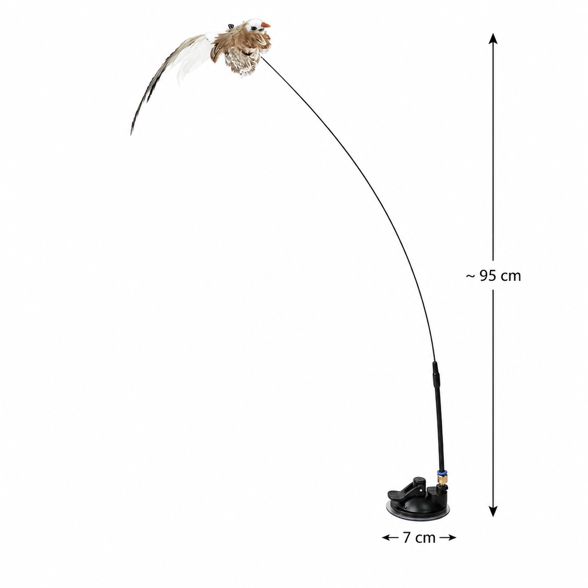 Feather hunting – For the cat, play is not just play