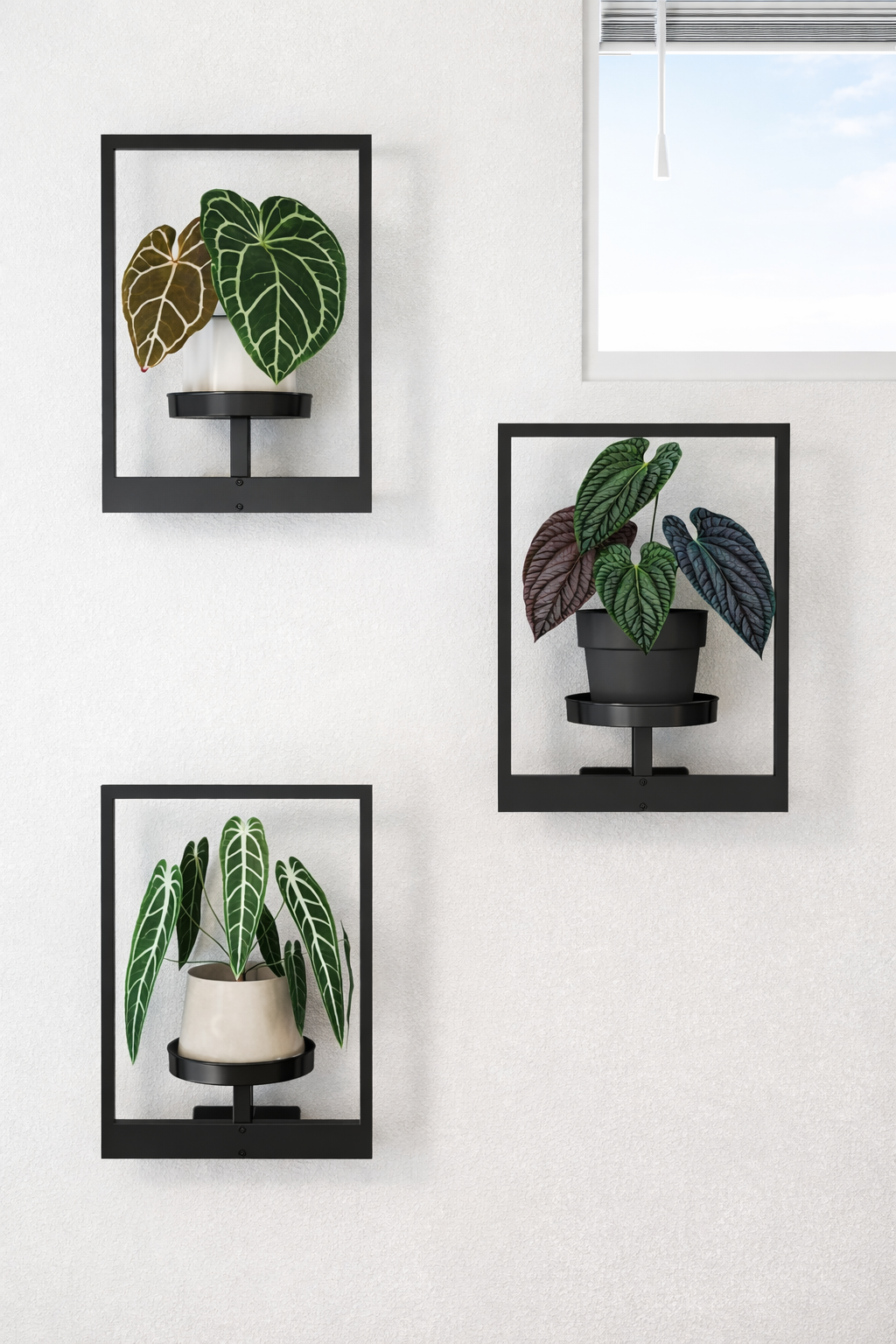 VäktRam – Wall decoration that brings life to the room