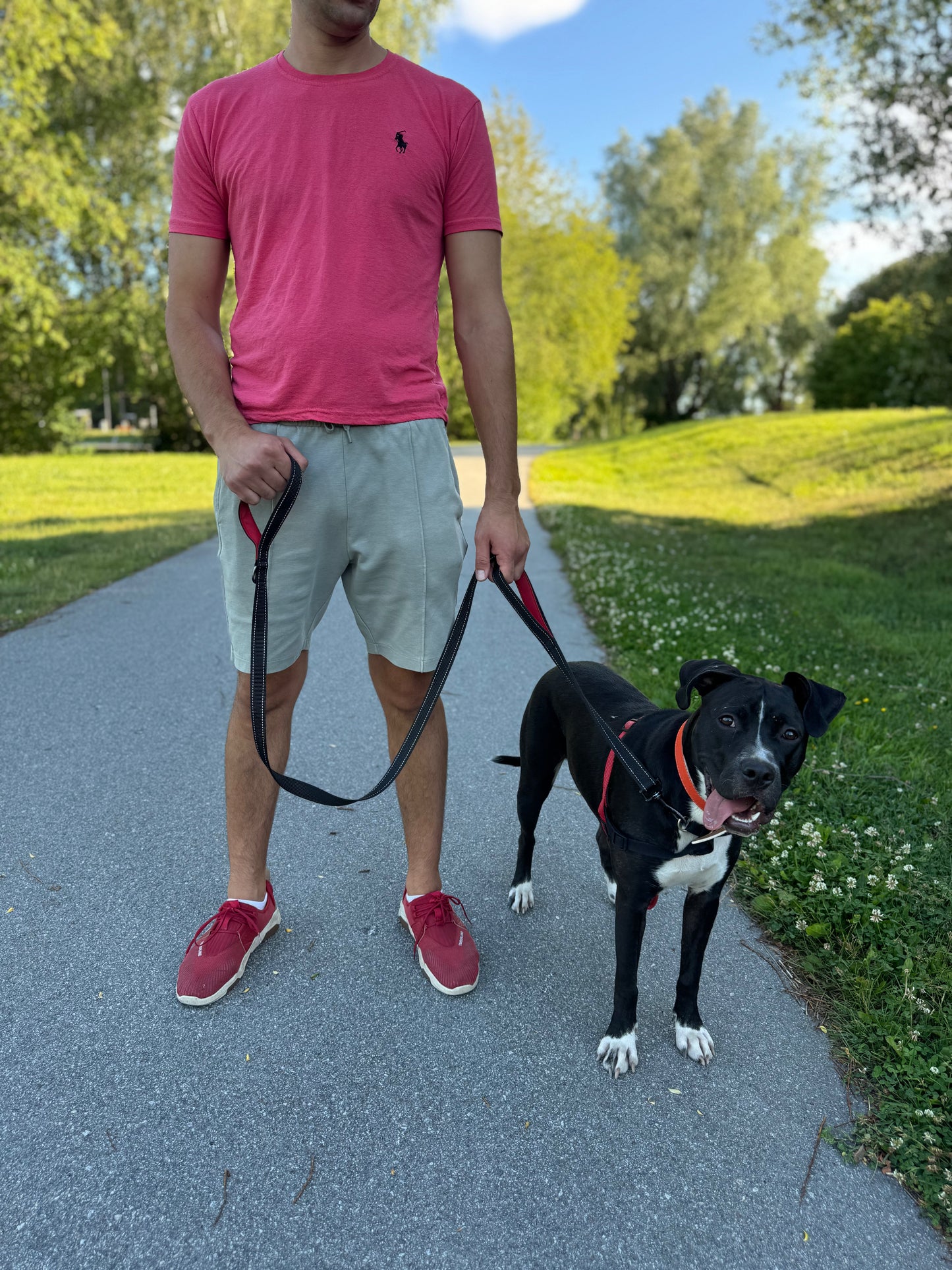 Reflex leash with double handles