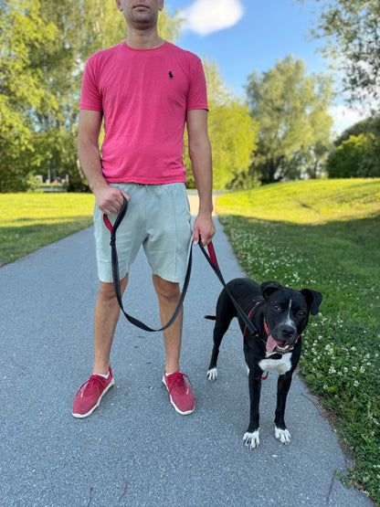 Reflex leash with double handles