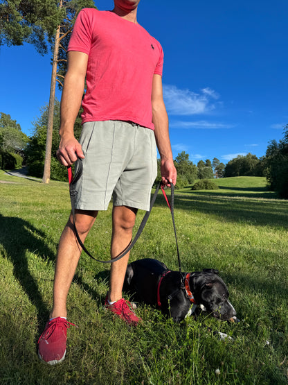Reflex leash with double handles