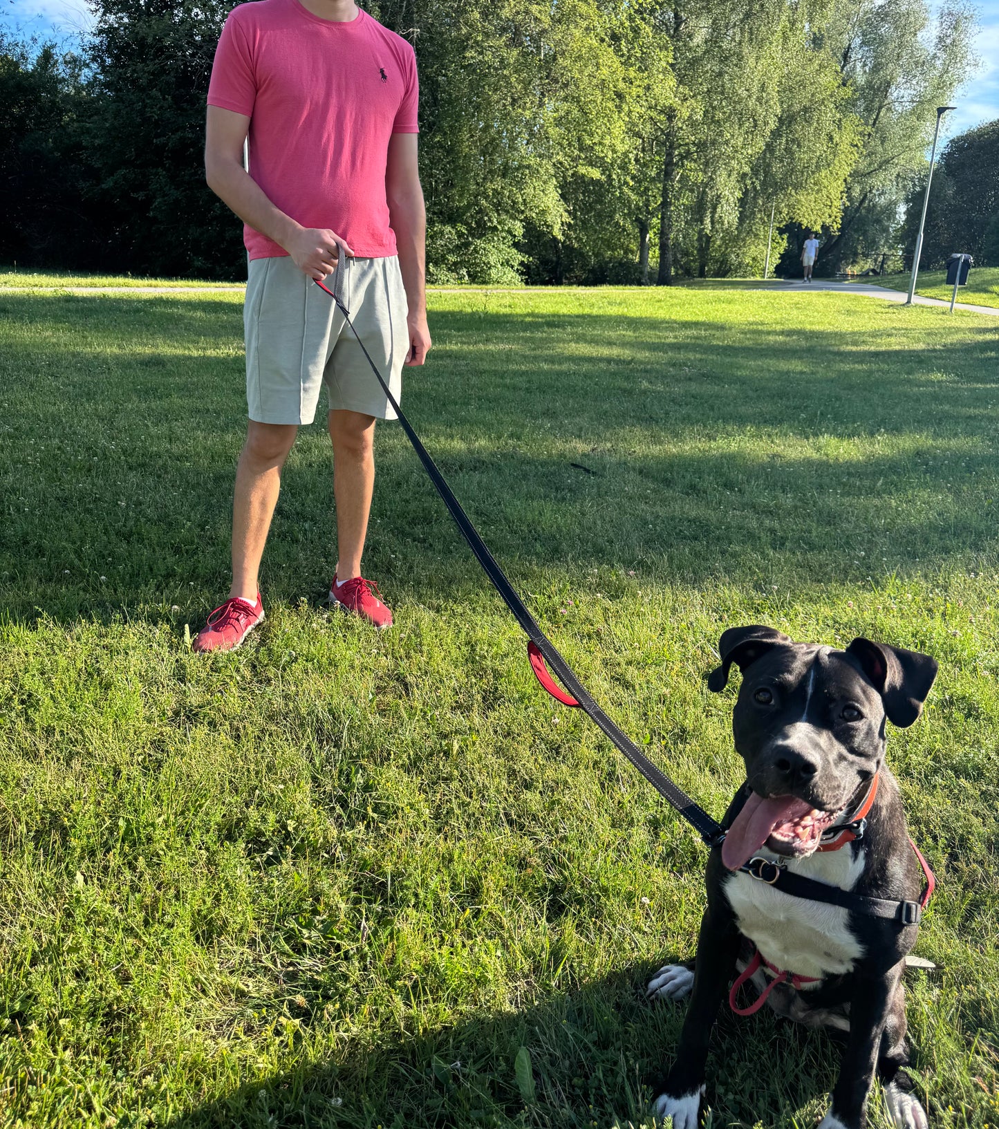 Reflex leash with double handles