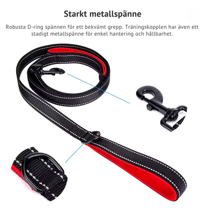 Reflex leash with double handles