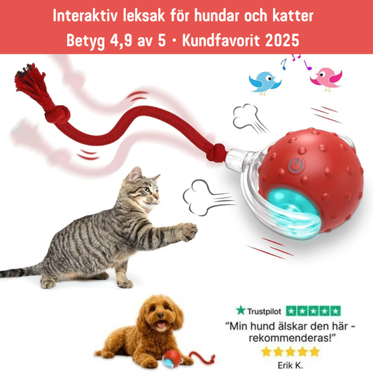 PawMotion – Interactive dog toy with sensor-controlled movement