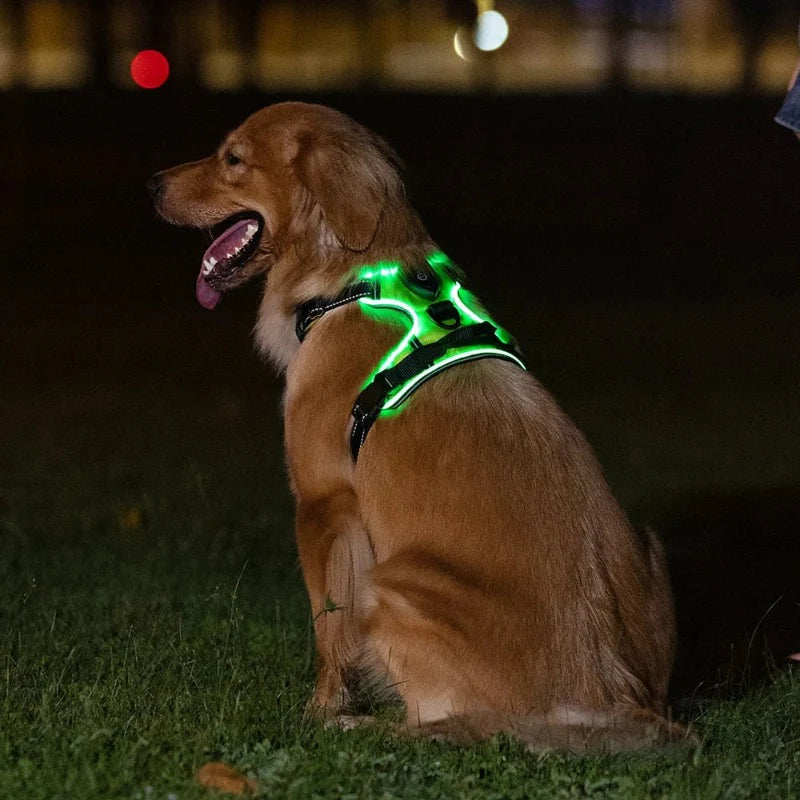 Luminous Dog Harness - for maximum safety