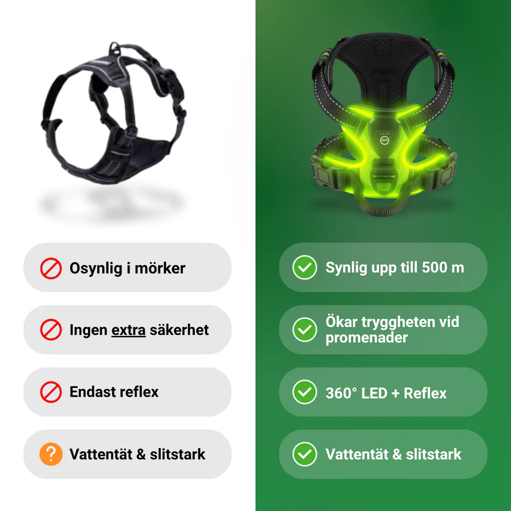 Luminous Dog Harness - for maximum safety