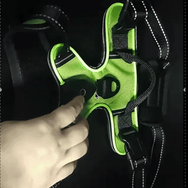 Luminous Dog Harness - for maximum safety