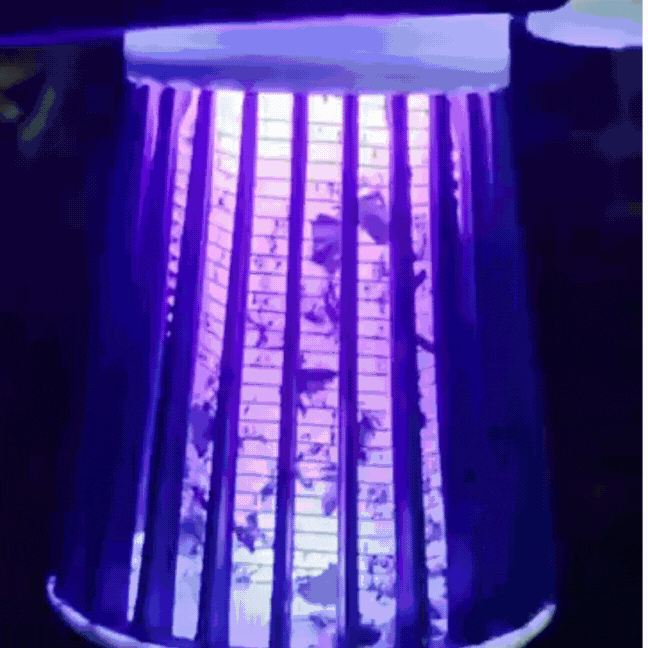 Portable anti-mosquito lamp with electric shock
