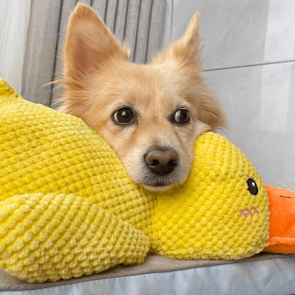 Dog toy for teeth cleaning - Duck