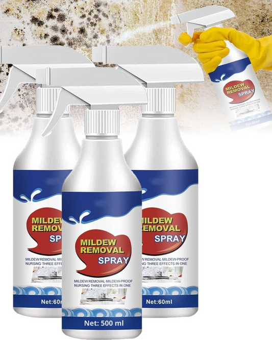 MögelXpert – Effective removal of mold and moisture stains