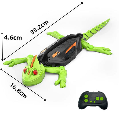 Gecko, Beetle and Spider - remote controlled climbing toys for all ages