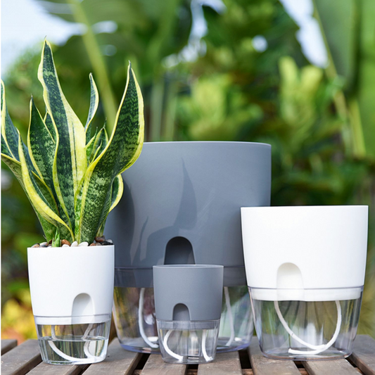 Self-watering Pot