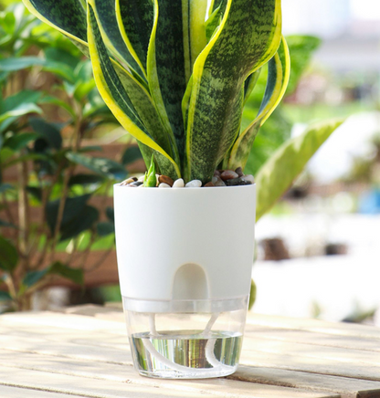 Self-watering Pot