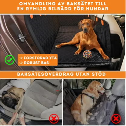 Car seat protection for pets and passengers