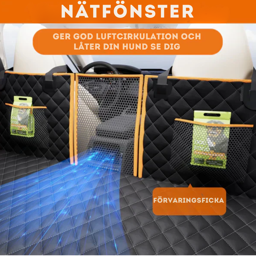 Car seat protection for pets and passengers